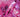 A photography by Jessica Ledwich of a glass wand in a bath of pink liquid and flowers