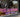 Passionfruit adult shop in fitzroy