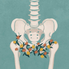 Pelvic Floor Health - Passionfruit