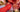 Forbidden Pleasure with Anne O Nomis: The Voluptuary Series - Passionfruit