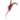 Feather Teaser: various colors