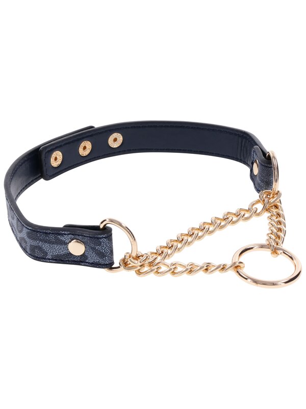 Cougar Day Collar