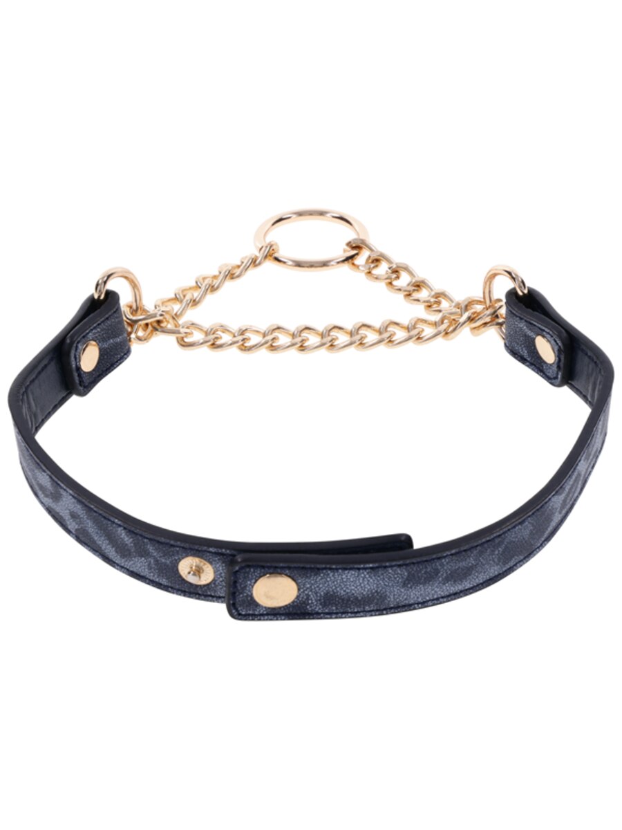 Cougar Day Collar