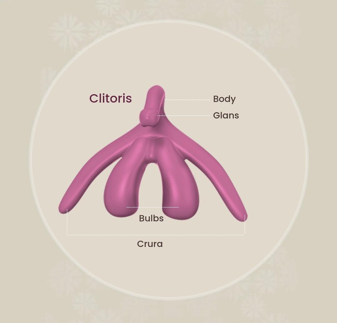 Cliterate Clitoris: Mini - Passionfruit