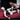 Liberator Esse Chaise - Black Label - Passionfruit