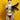 Feather Teaser: various colors - Passionfruit