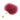 Passionfruit Feather - Passionfruit