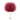 Passionfruit Feather - Passionfruit