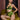 Petra Waist Thong - Passionfruit