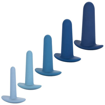 They-Ology Advanced 5 Piece Anal Training Set - Passionfruit